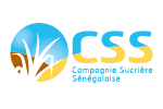 CSS